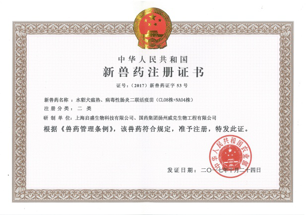 abce13d2-3cbc-4628-80e9-ffe832c27768.png