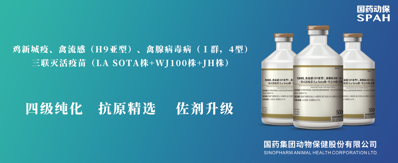 66d87991-9eb8-4021-a8fb-fc90830d37ab.png