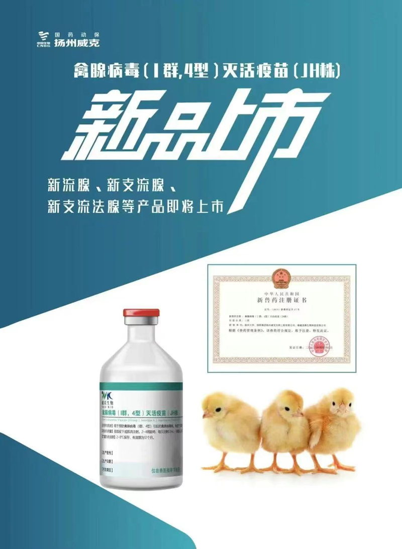 d206364f-baa1-48f7-b357-13e41f3f6649.png