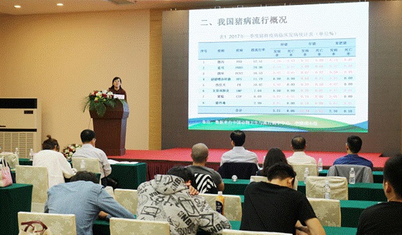 cbe68211-aa23-4ee5-b10b-68821301da6f.jpg